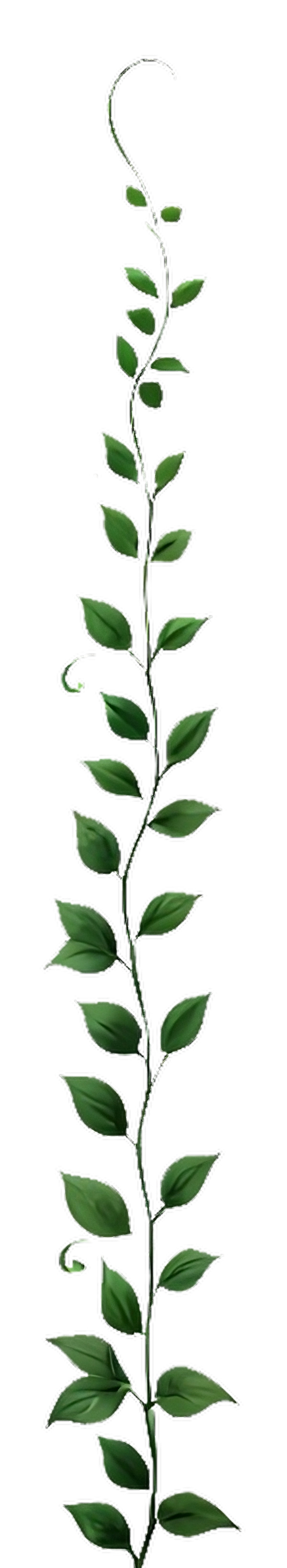 Left Plant